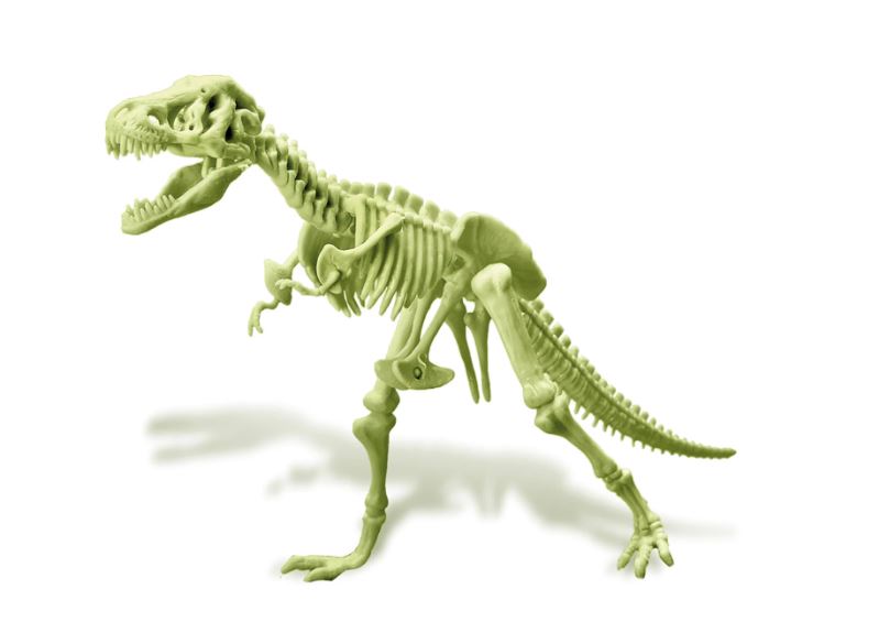 Leuchtendes T-Rex Skelett - Bild 4