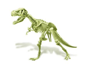Leuchtendes T-Rex Skelett