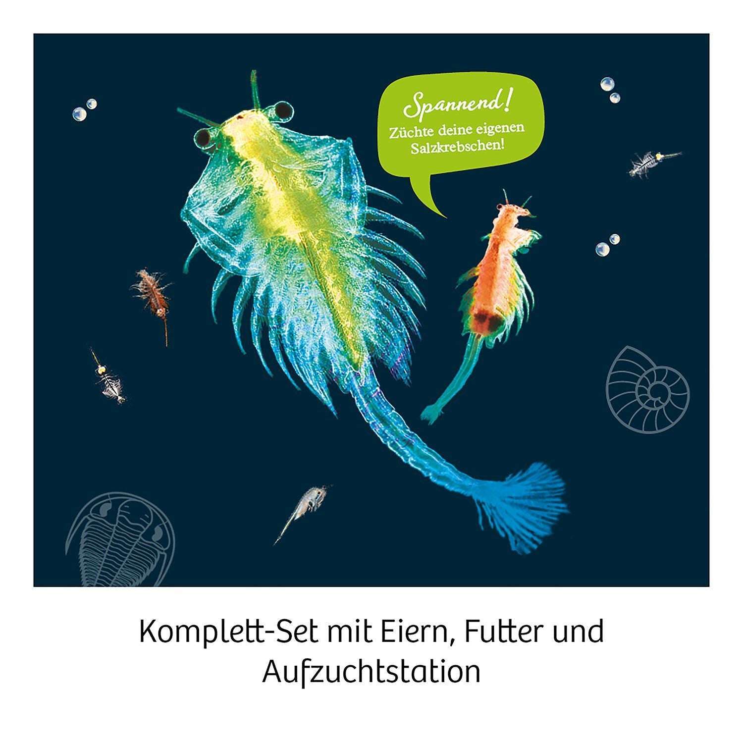 Kosmos Urzeit Krebse - Bild 4