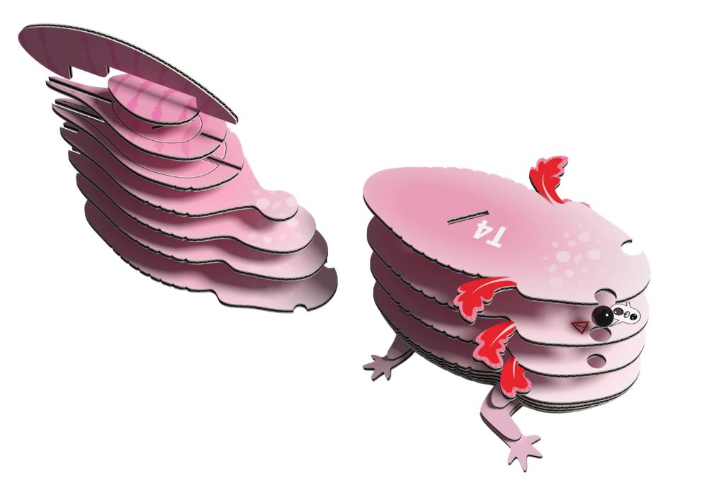 3D Bastelset Axolotl - Bild 4