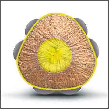 FABER CASTELL Colour Grip Kartonetui 24 Stk. - Bild 5