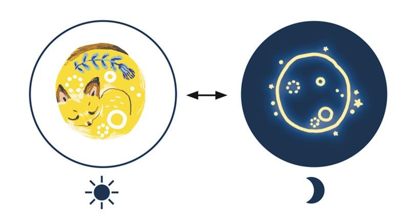 Tattoos Glow in the dark : Sweet dreams - Bild 2