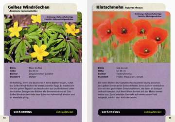 Taschenlexikon der Natur - Bild 4