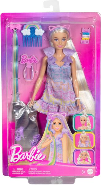 Barbie Fun & Fancy Puppe mit Accessoires - Bild 1