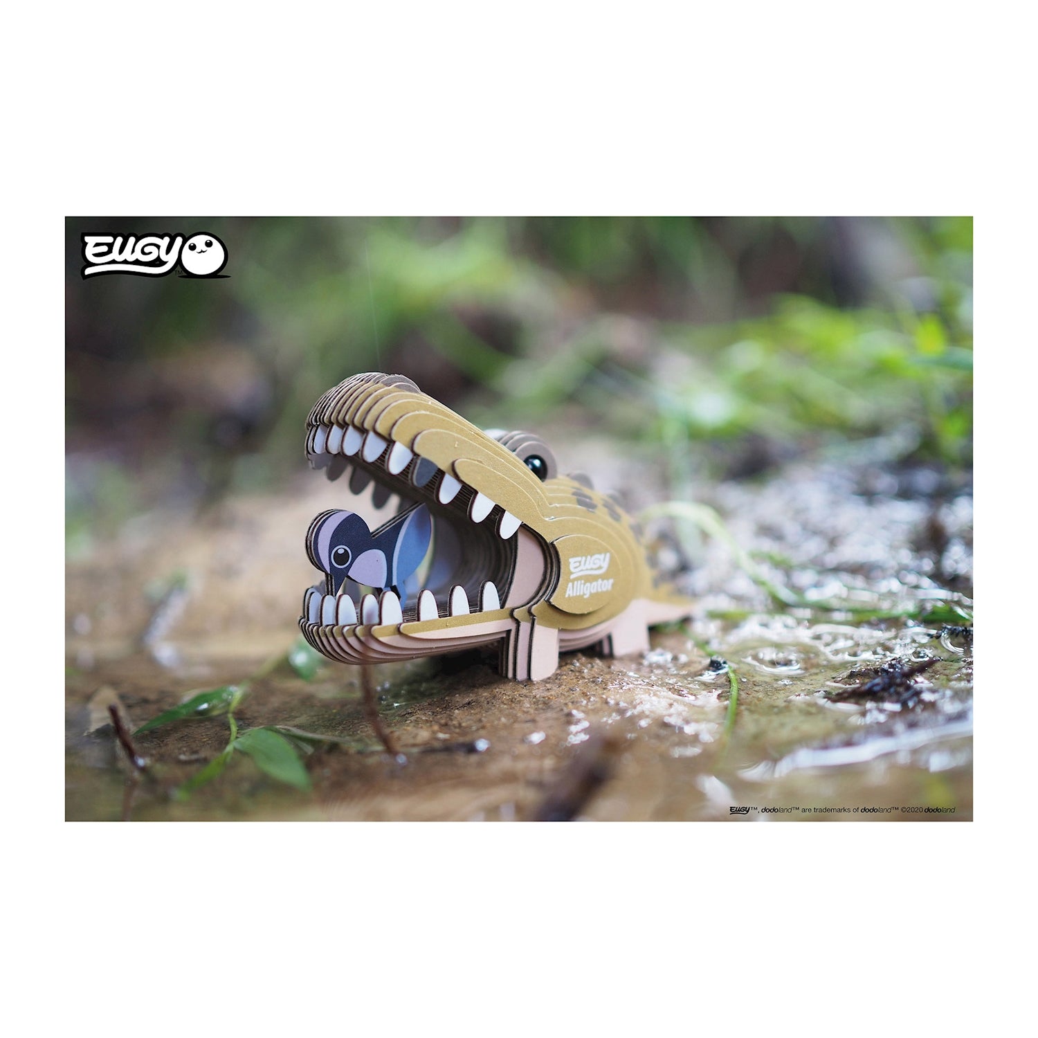 3D Bastelset  Alligator - Bild 4