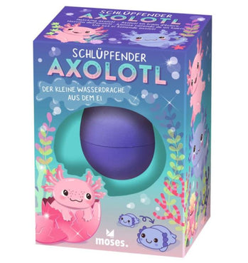 Ei wachsend mit Axolotl
