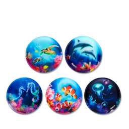 Klettie - Set Unterwasserwelt 5-teilig