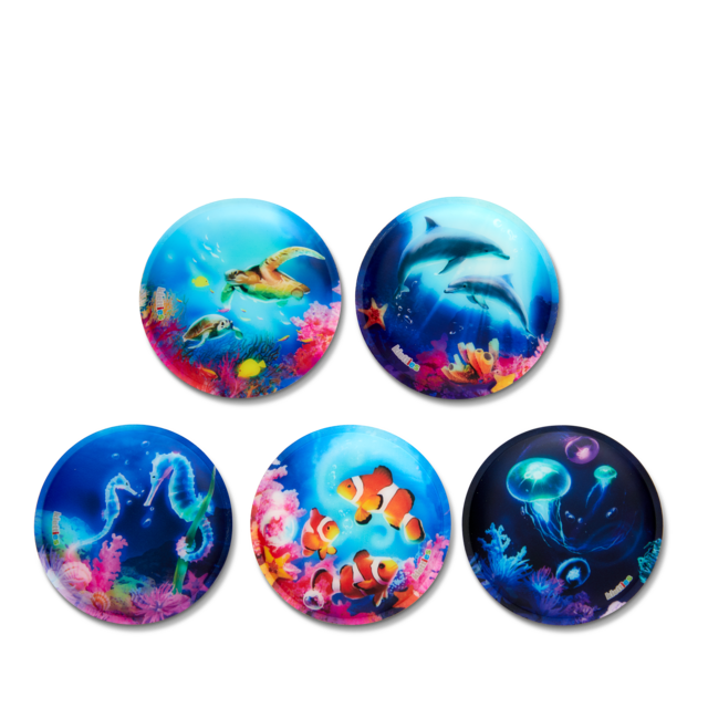 Klettie - Set Unterwasserwelt 5-teilig - Bild 1