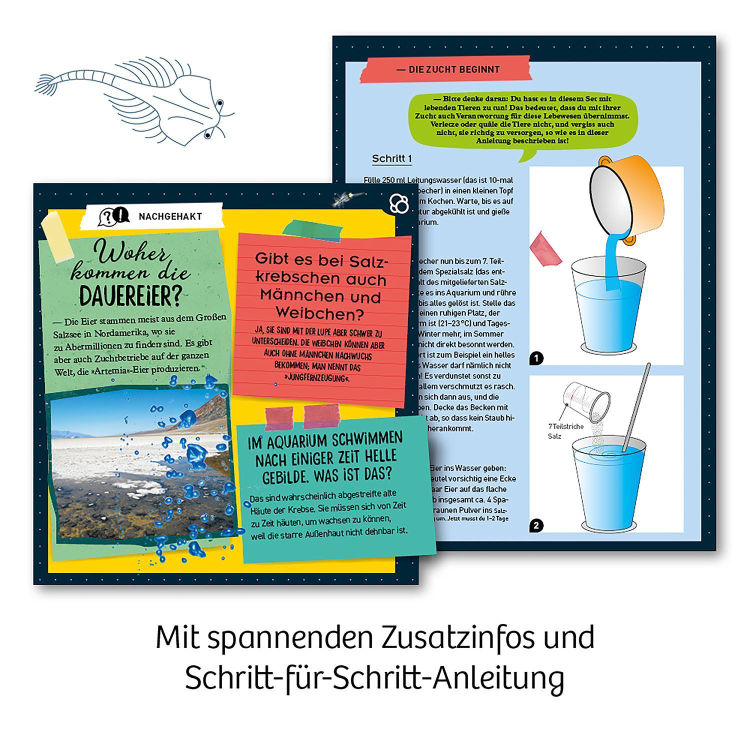 Kosmos Urzeit Krebse - Bild 5