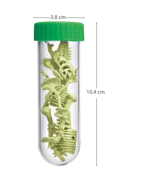 Leuchtendes T-Rex Skelett - Bild 5
