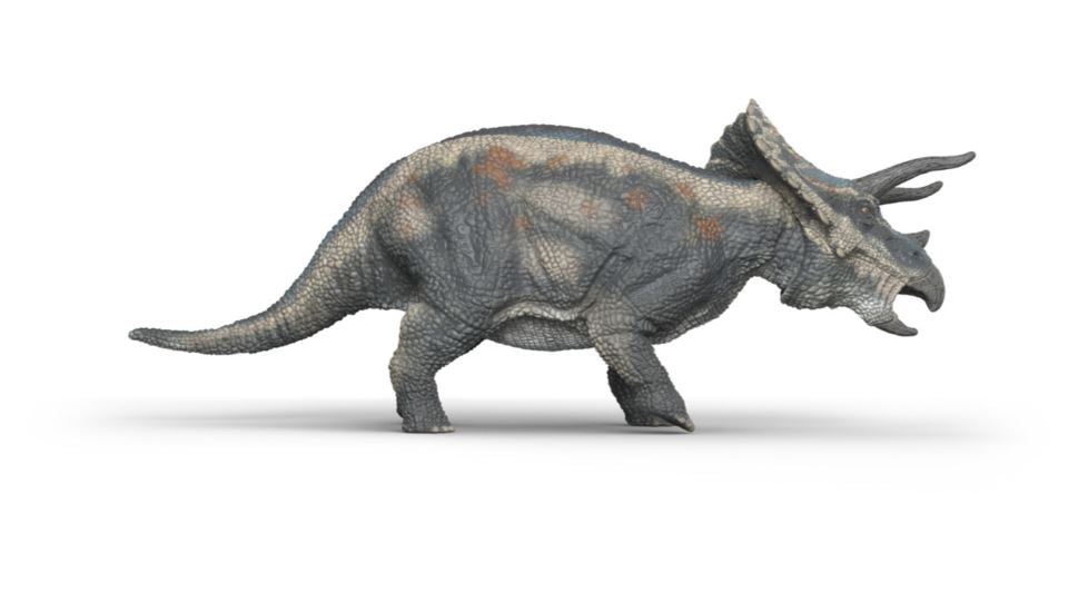 Schleich Triceratops 15050 - Bild 5