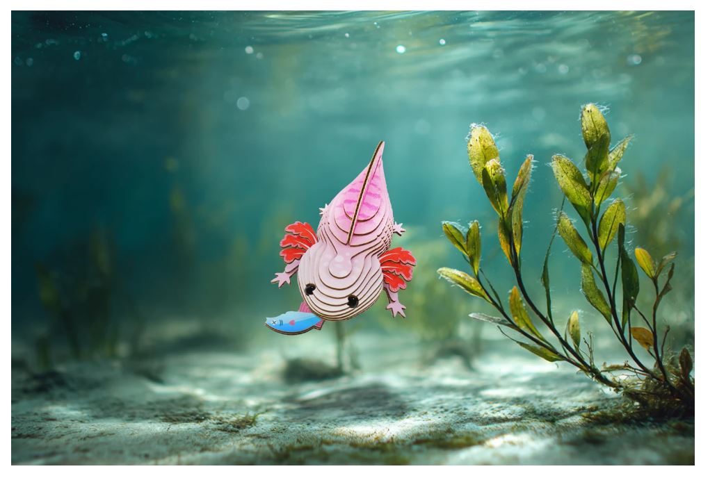 3D Bastelset Axolotl - Bild 5