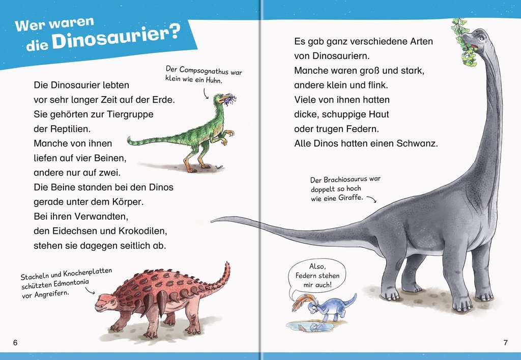 WWW Erstleser Band 1 - Dinosaurier 60.000 - Bild 3