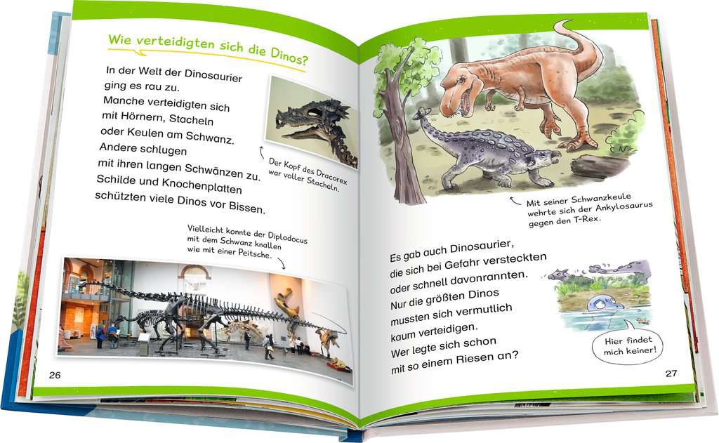 WWW Erstleser Band 1 - Dinosaurier 60.000 - Bild 5