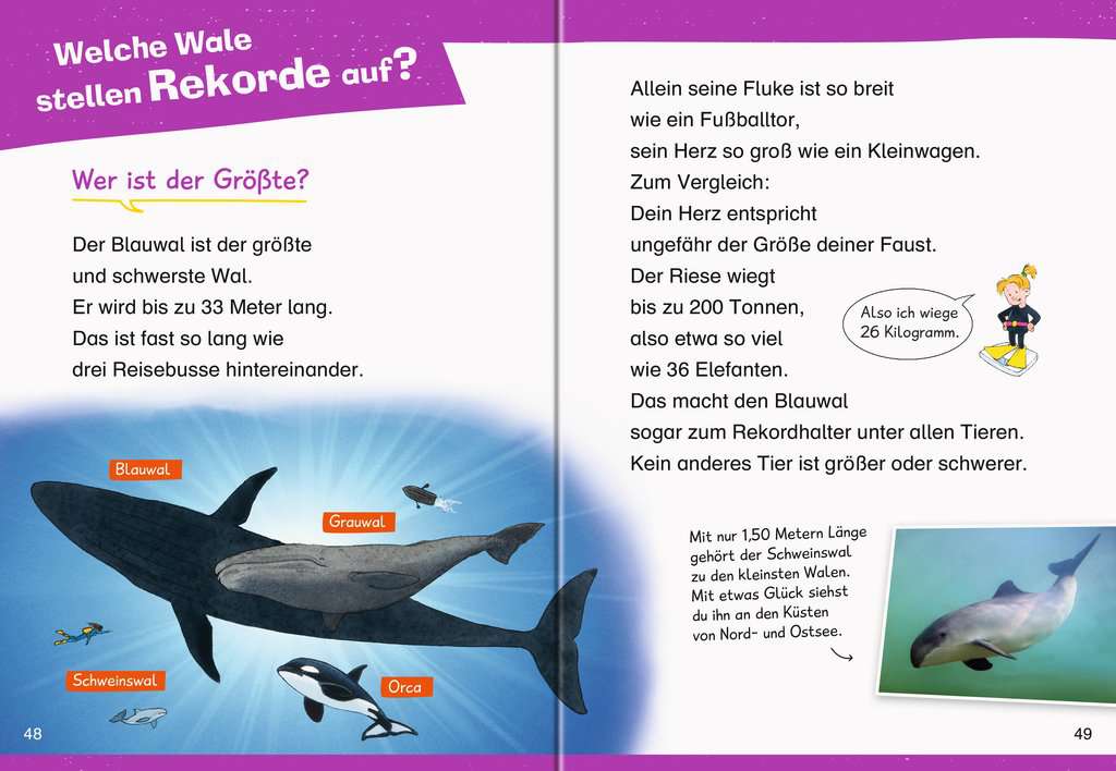 WWW Erstleser Band 3 - Wale und Delfine 60.002 - Bild 3