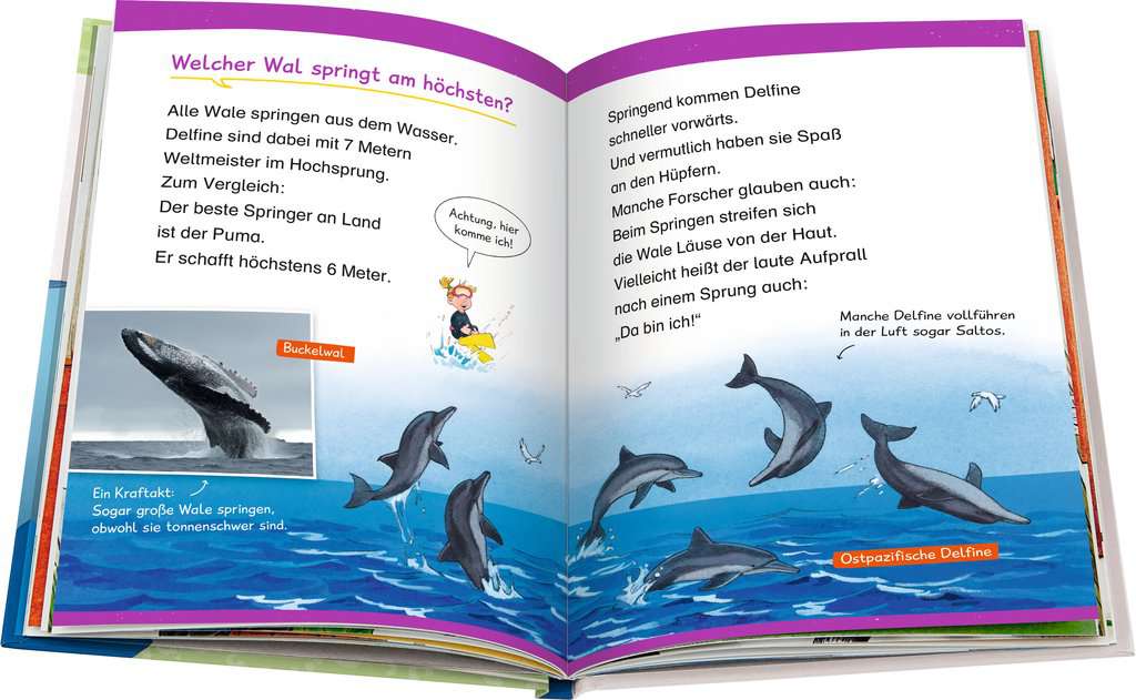 WWW Erstleser Band 3 - Wale und Delfine 60.002 - Bild 4