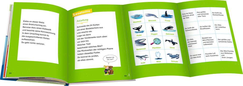 WWW Erstleser Band 3 - Wale und Delfine 60.002 - Bild 5