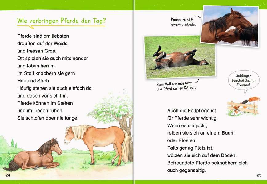 WWW Erstleser Band 6 - Pferde 60.016 - Bild 3