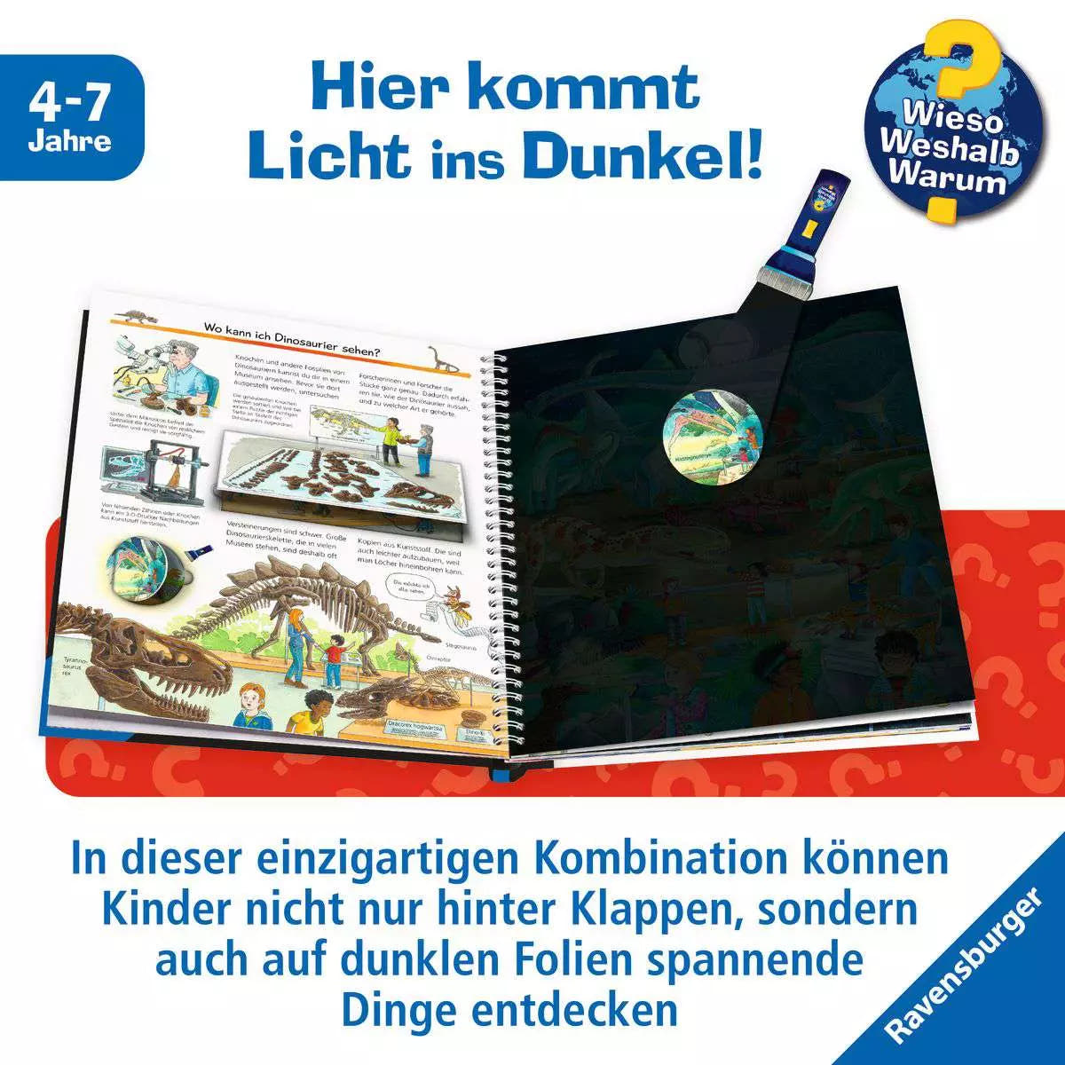 WWW - Leuchte & entdecke: Dinosaurier 60.045 - Bild 3