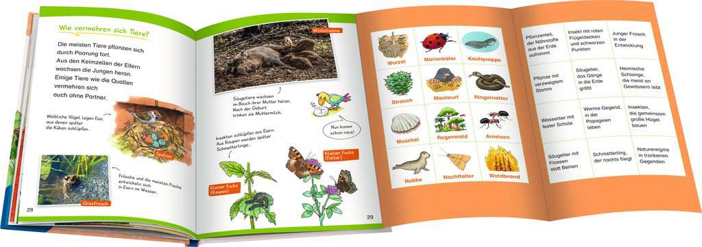 WWW Erstleser Band 10 - Natur - Bild 5