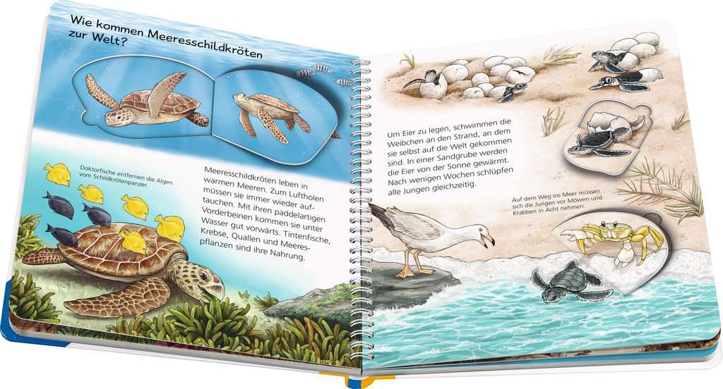 WWW Junior Band 57- Tiere im Meer 60.054 - Bild 3