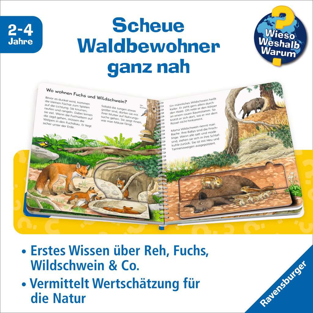WWW Junior Band 77 - Tiere im Wald 60.079 - Bild 3