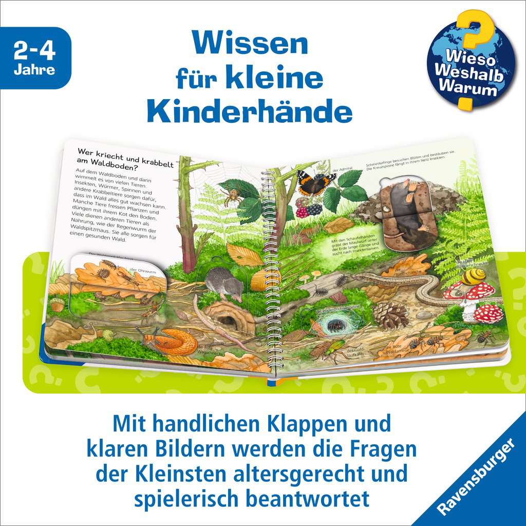WWW Junior Band 77 - Tiere im Wald 60.079 - Bild 4