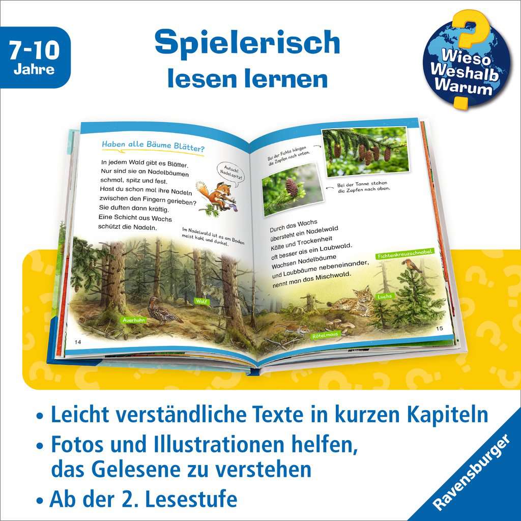 WWW Erstleser, Band 17: Im Wald 60.096 - Bild 3