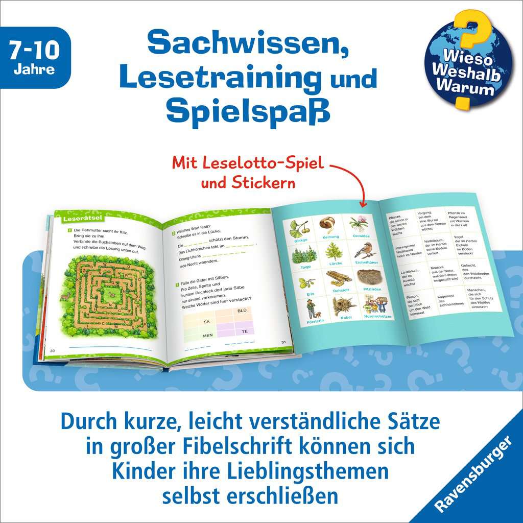 WWW Erstleser, Band 17: Im Wald 60.096 - Bild 4