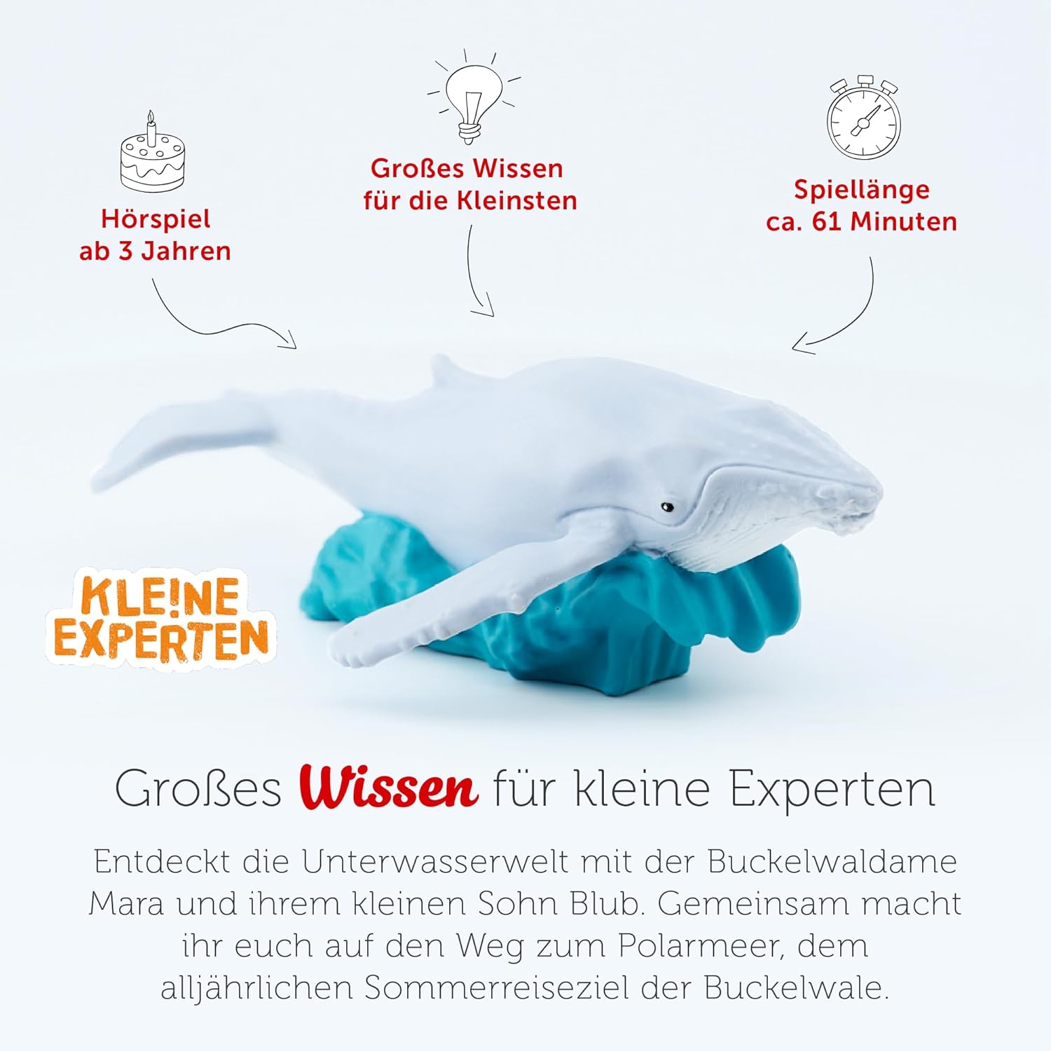 Tonies: Kleine Experten tauchen mit Walen 3J. - Bild 6