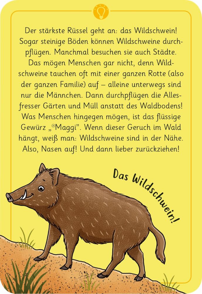 50 Natur wundersame Tierrätsel Wald - Bild 3