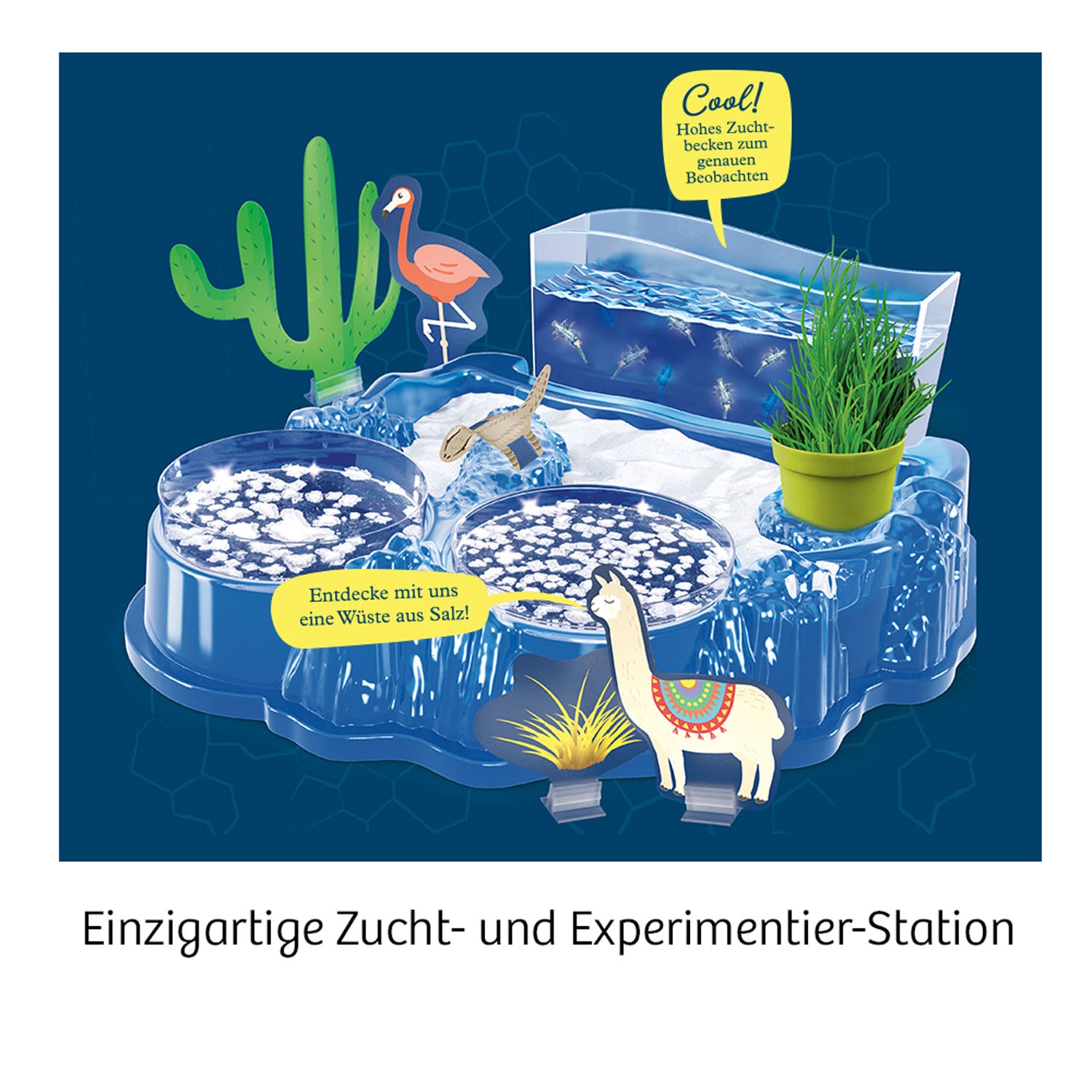 Kosmos Urzeit Salz - Krebse - Bild 2