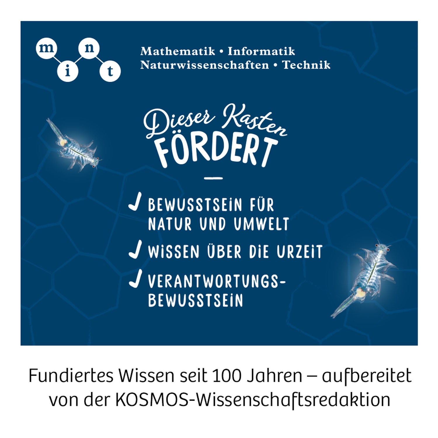 Kosmos Urzeit Salz - Krebse - Bild 5
