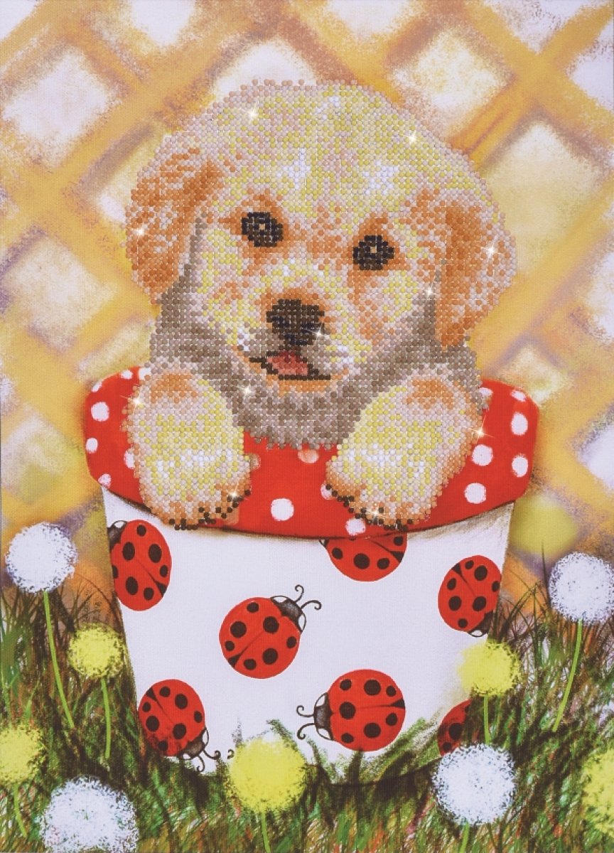 Diamond Dotz Welpe im Topf 30 x 42 cm - Bild 1