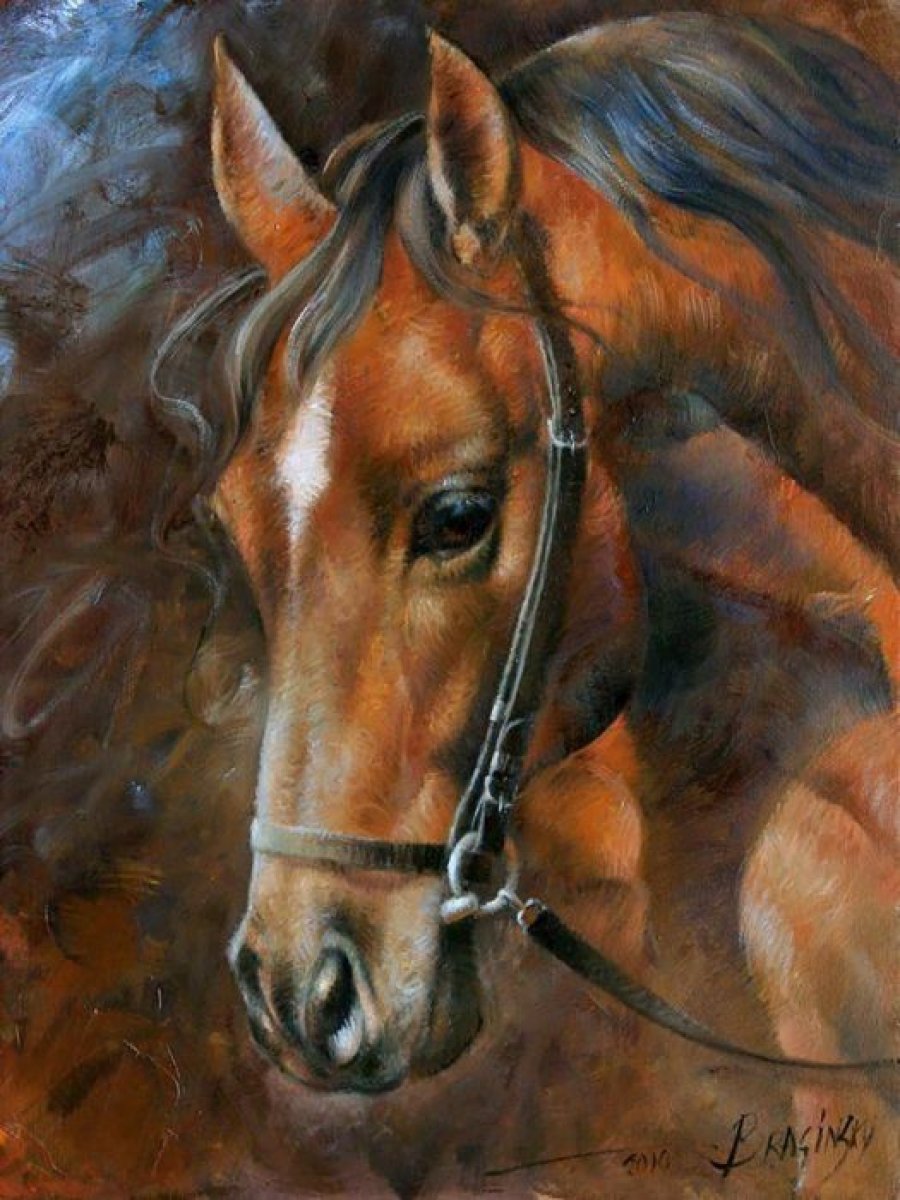 Diamond Painting Pferd 40 x 30 cm - Bild 1