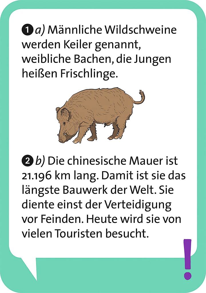 Pocket Quiz Junior Allgemeinwissen - Bild 4