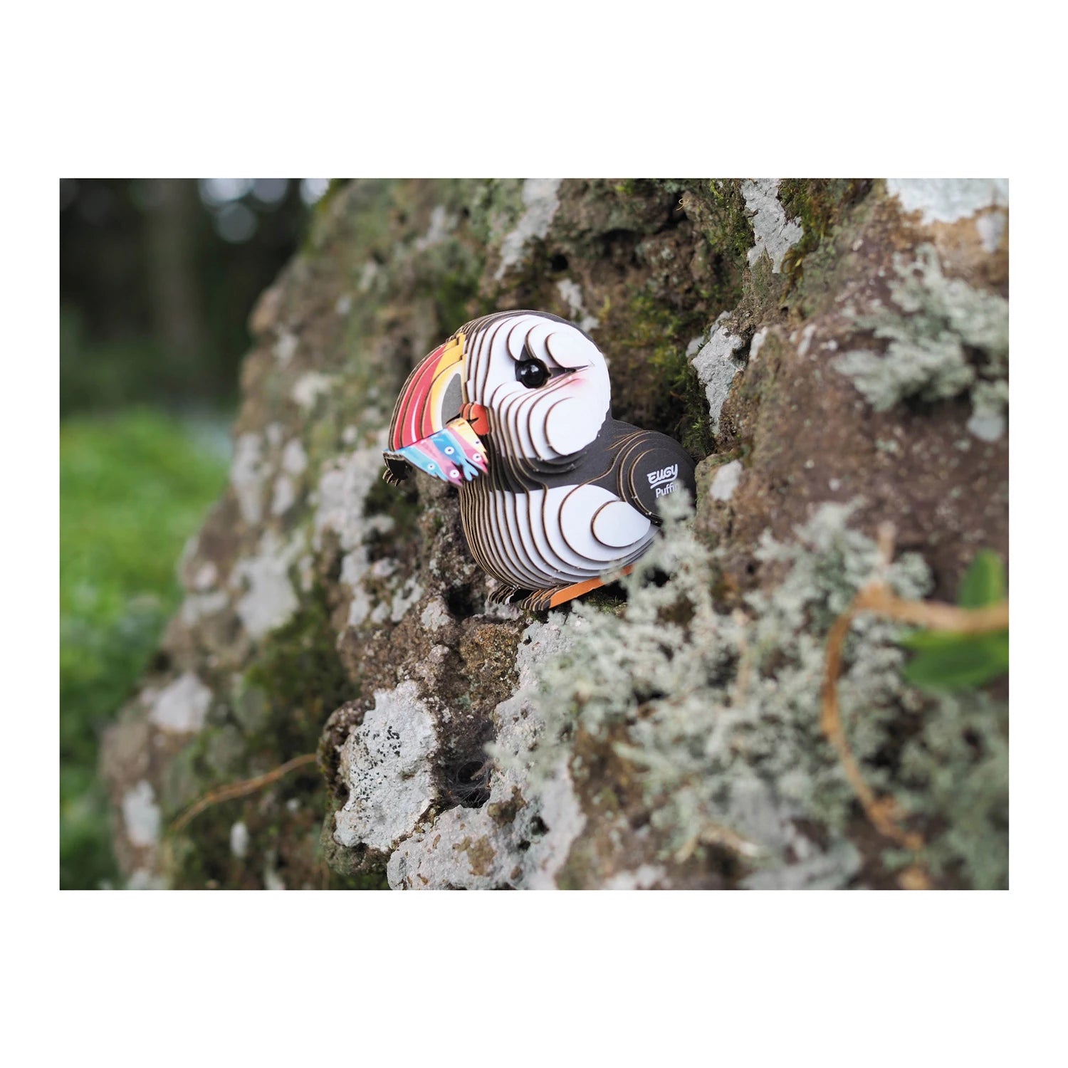3D Bastelset  Papageientaucher - Bild 5