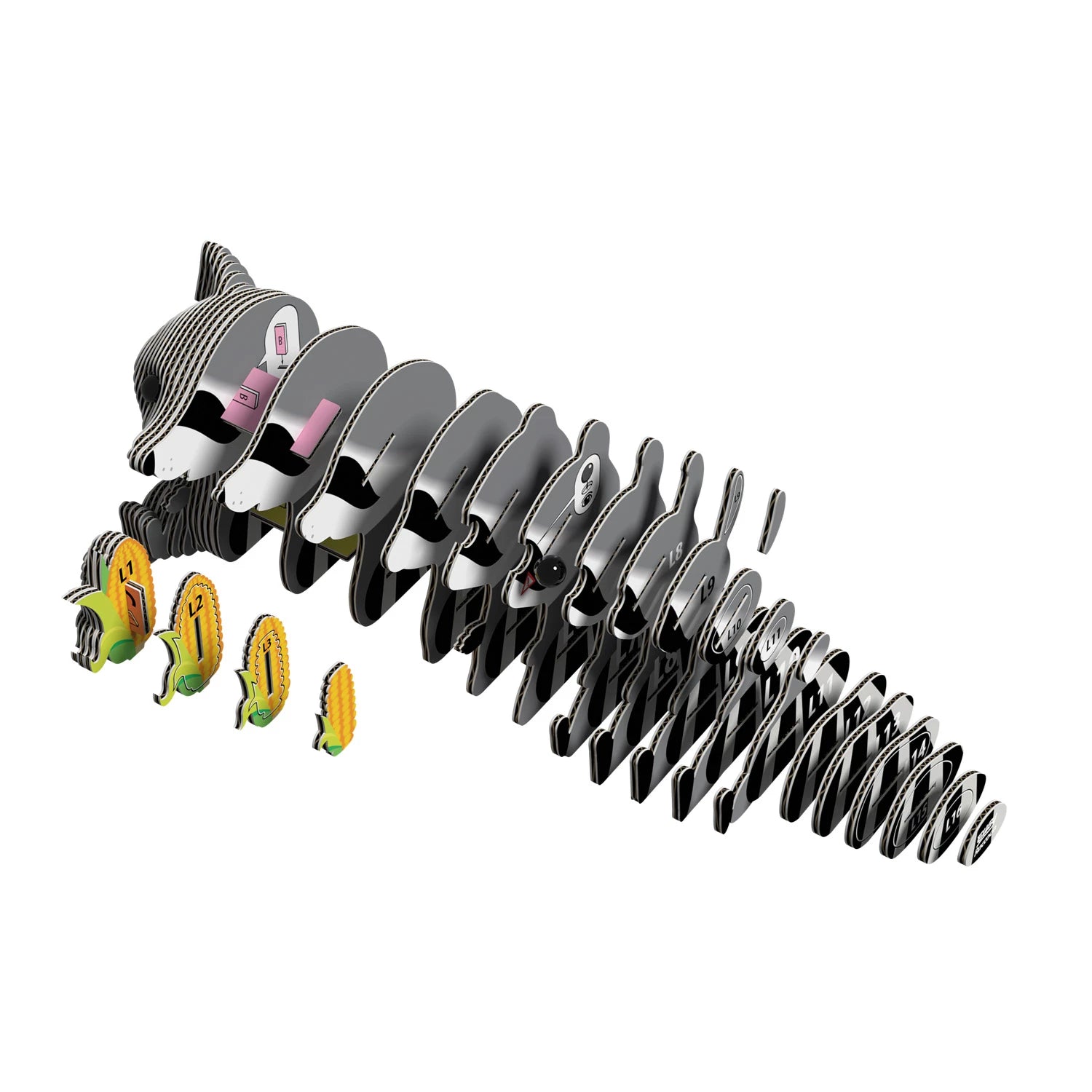 3D Bastelset  Waschbär - Bild 3