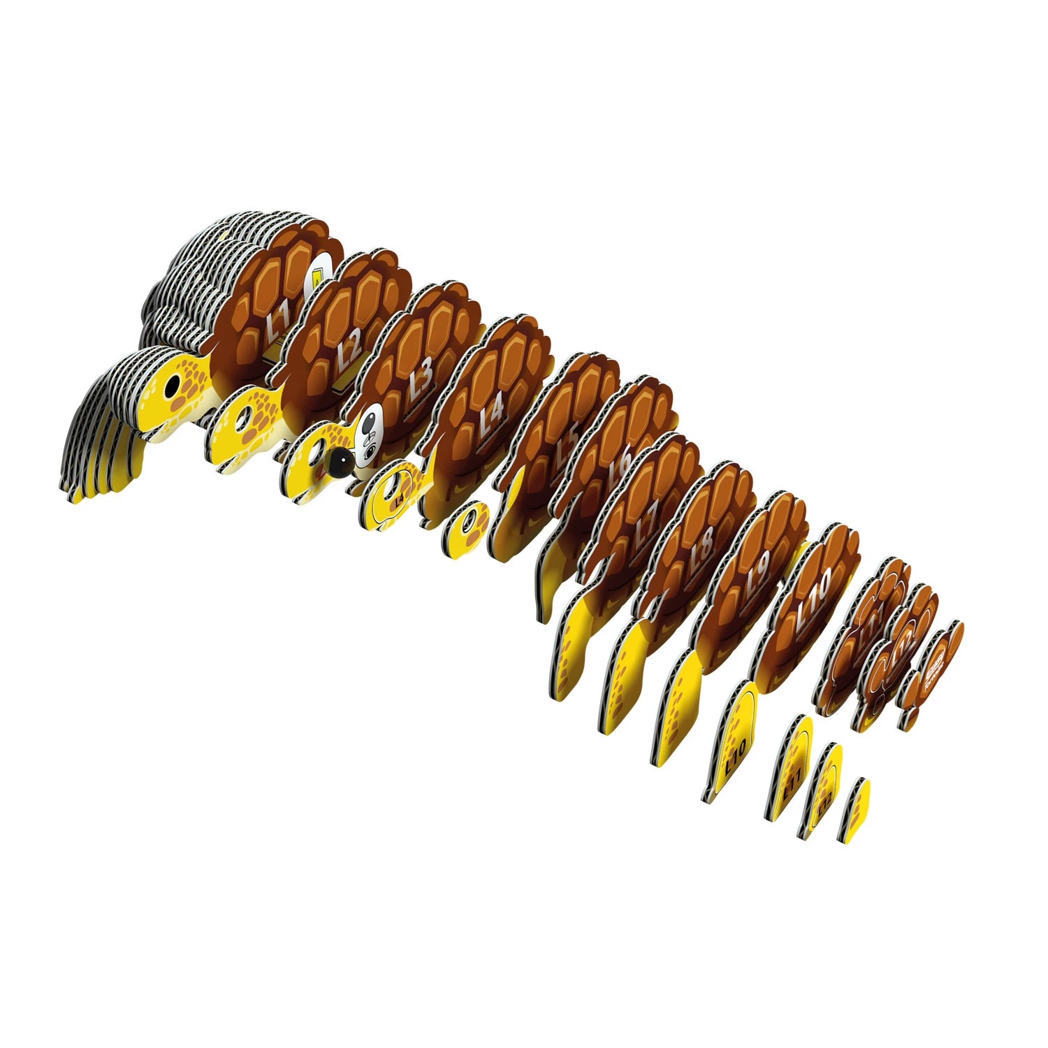 3D Bastelset  Landschildkröte - Bild 3