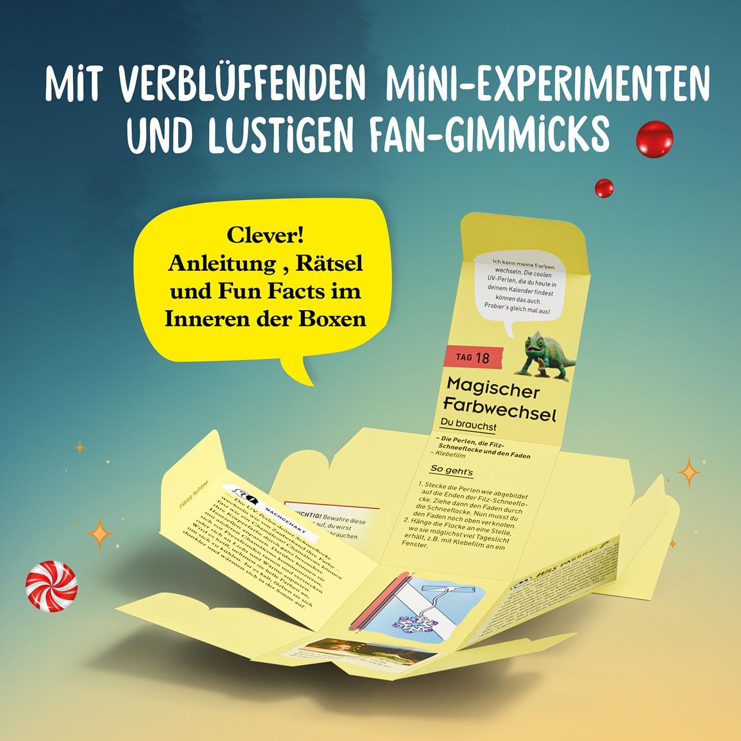 Adventskalender Die Schule der magischen Tiere - Bild 4