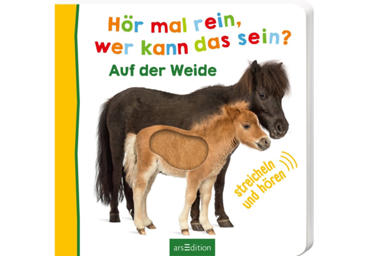 Hör mal rein, wer kann das sein? Weide - Bild 1