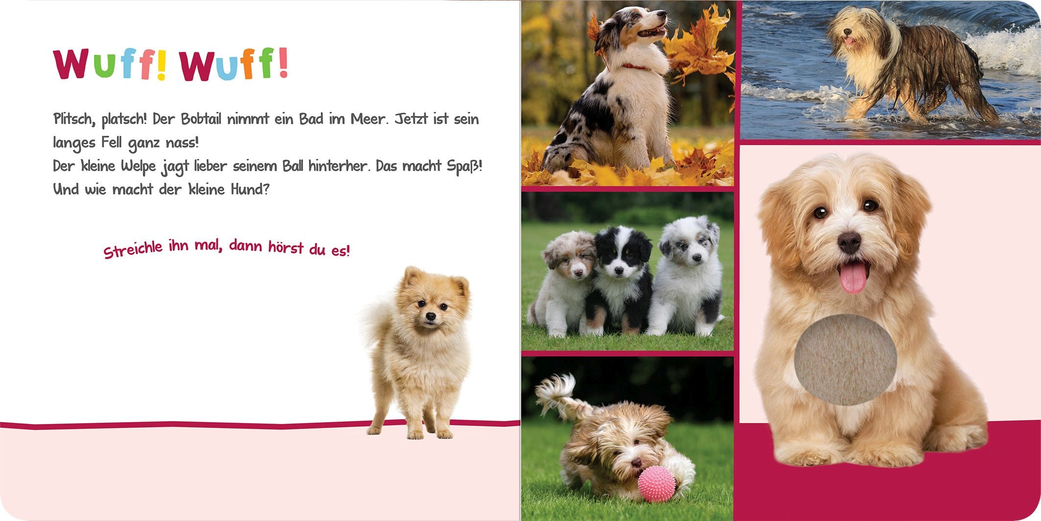 Hör mal rein, wer kann das sein?  Kuschelige Tiere - Bild 2