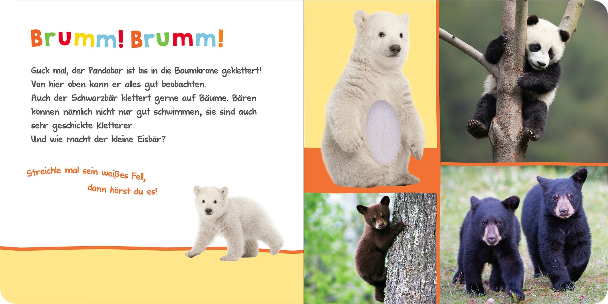 Hör mal rein, wer kann das sein?  Kuschelige Tiere - Bild 3