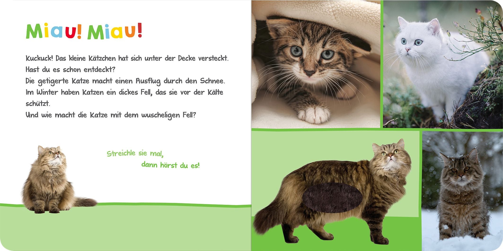 Hör mal rein, wer kann das sein?  Kuschelige Tiere - Bild 4
