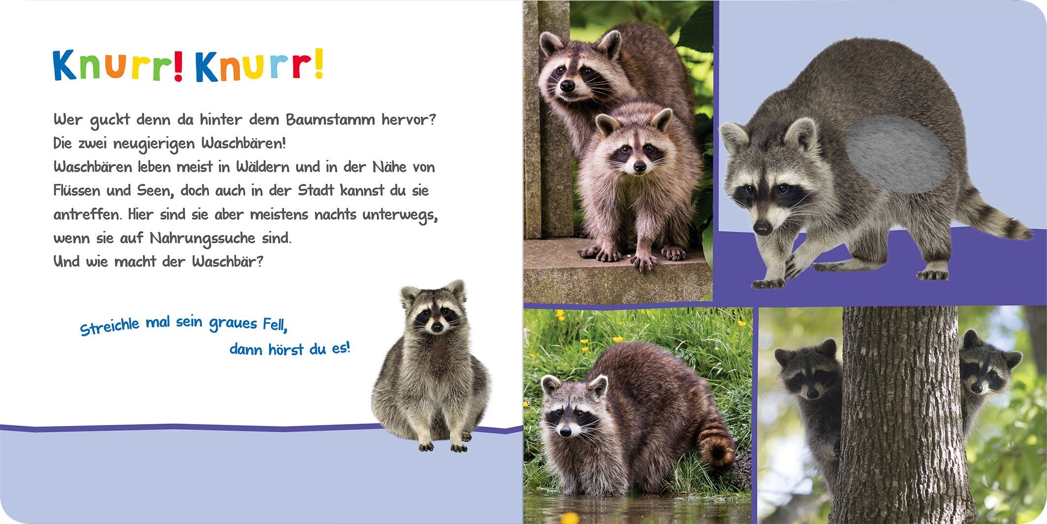 Hör mal rein, wer kann das sein?  Kuschelige Tiere - Bild 5