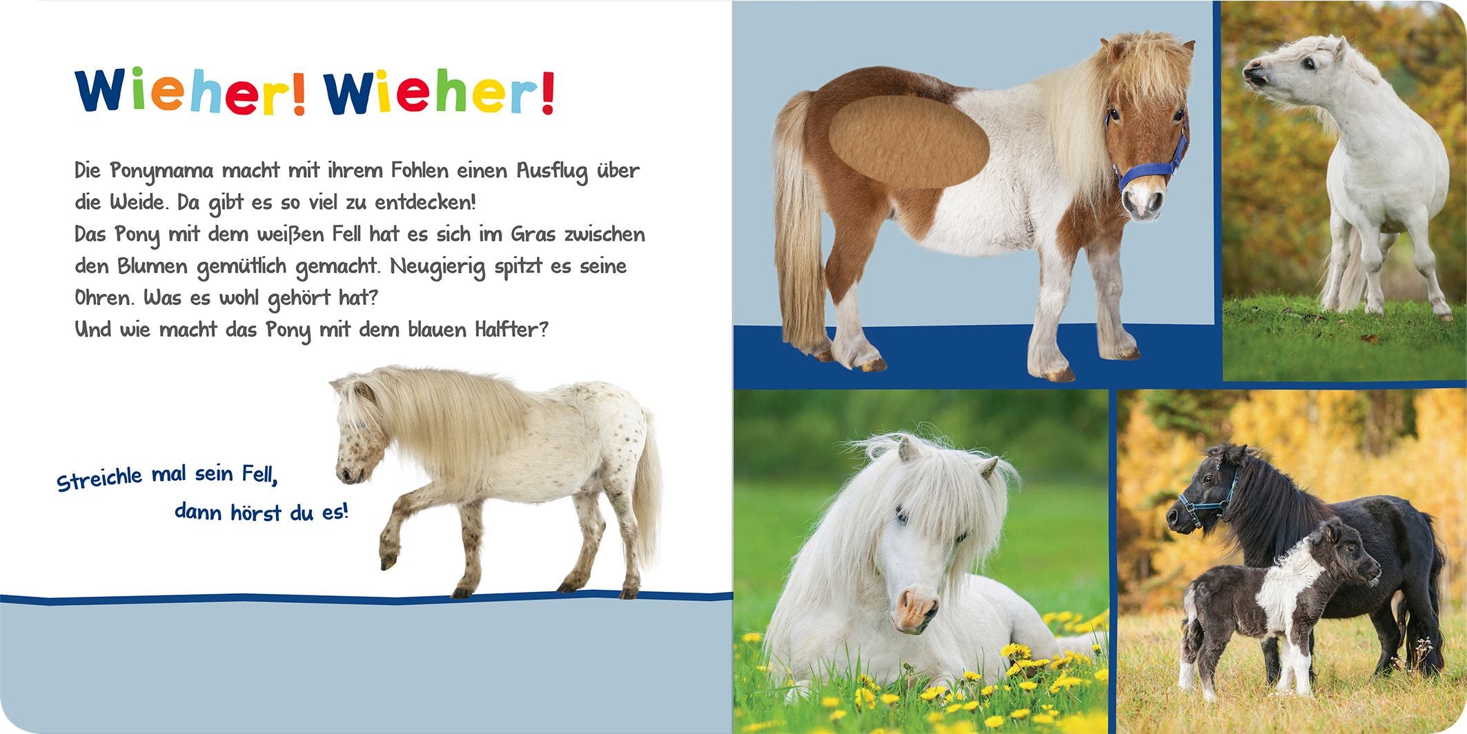 Hör mal rein, wer kann das sein?  Kuschelige Tiere - Bild 6