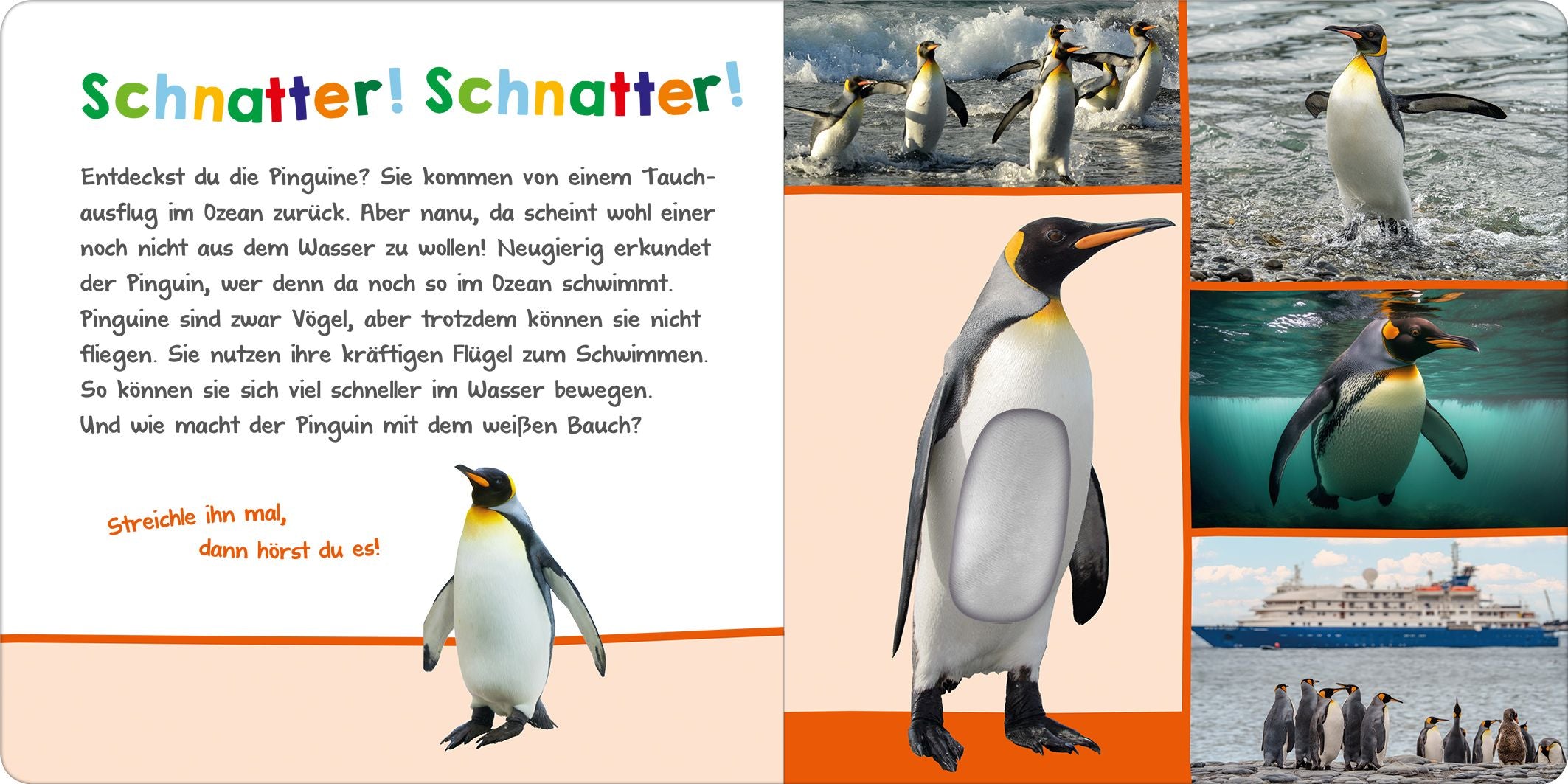 Hör mal rein, wer kann das sein?  Im Ozean - Bild 2