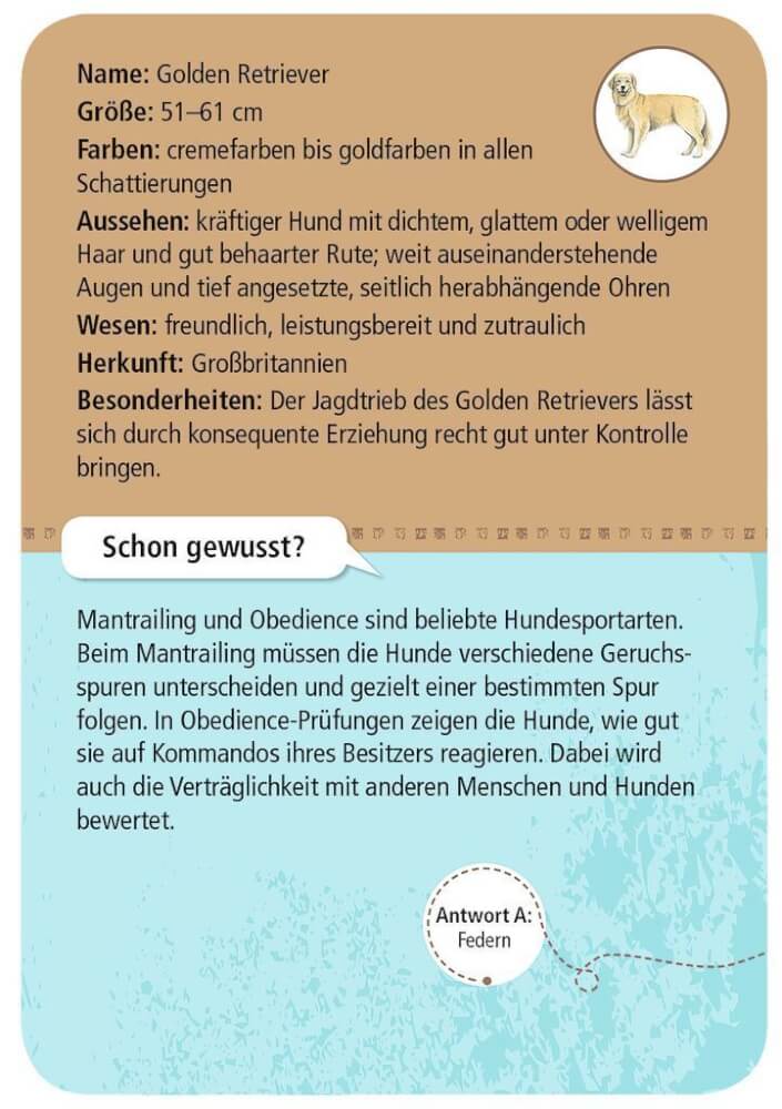 50 Tiere Hunde - Bild 2