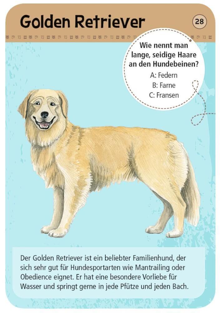 50 Tiere Hunde - Bild 3