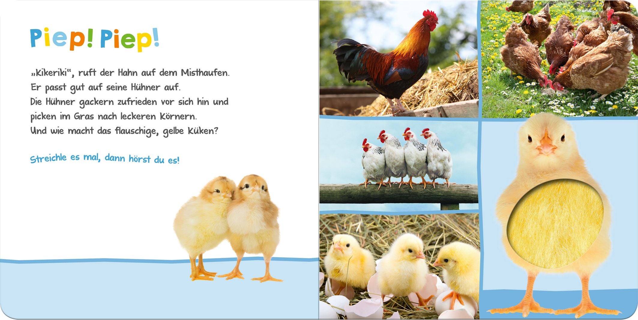 Hör mal rein, wer kann das sein?  Bauernhoftiere - Bild 3